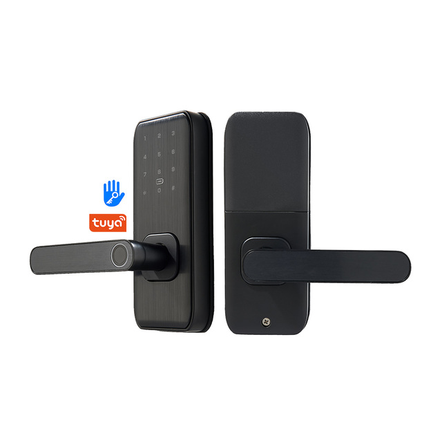 Digital Tuya APP TTlock APP Smart Fingerprint Recognition Cloud Aluminum Alloy /Wi-Fi Wooden Lock for Hotel Home Office