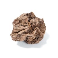 Produit phare : Fruits de Matatabi (Actinidia Polygama) séchés, fruits de galle d'insecte, pour la décompression des chats, AD Brut