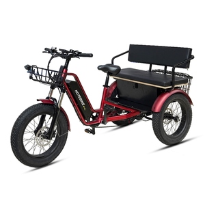 Triciclo Elettrico da Carico a Lunga Autonomia 1000w 36v 48v con Motore Centrale per 2 Persone Scooter Elettrico a Tre Ruote - Product Image 3