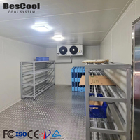 Chambre froide BesCool avec panneaux sandwich PU de 100 mm, 120 mm et 150 mm pour le stockage de viande, de poisson, de fruits et de fruits de mer