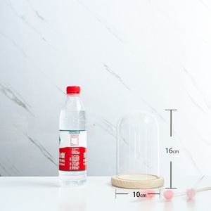 Cloches <span class=keywords><strong>en</strong></span> <span class=keywords><strong>verre</strong></span> transparentes <span class=keywords><strong>en</strong></span> gros, pas chères, différentes tailles, <span class=keywords><strong>cloche</strong></span> <span class=keywords><strong>en</strong></span> <span class=keywords><strong>verre</strong></span>, dôme <span class=keywords><strong>en</strong></span> <span class=keywords><strong>verre</strong></span>, <span class=keywords><strong>cloche</strong></span> <span class=keywords><strong>en</strong></span> <span class=keywords><strong>verre</strong></span> transparente avec base <span class=keywords><strong>en</strong></span> bois - Product Image 6