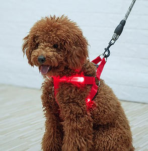Tali payudara nilon LED, dapat diatur <span class=keywords><strong>Harness</strong></span> anjing tidak tarik kecil sedang bersinar aksesoris keselamatan malam anjing peliharaan - Product Image 2