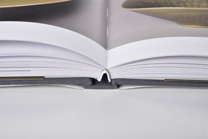 Libro de Tapa Dura con Acabado Mate de Alta Calidad, Color Personalizado, Laminación Brillante de PP, Estampado en Caliente, Calidad Garantizada de Hong Kong, China - Product Image 4