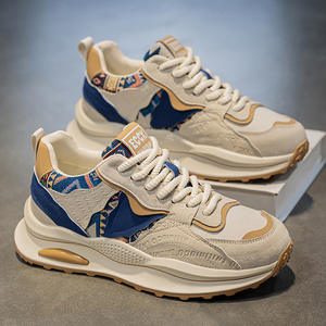 Chaussures pour hommes, printemps 2025, nouvelles chaussures décontractées, toutes occasions, confortables, tendance de la mode, petites, antidérapantes, résistantes à l'usure, chaussures de sport rétro - Product Image 2