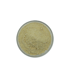 バルクストック純粋なアピゲニンエキス粉末セロリ種子エキス98% アピゲニン粉末 - Product Image 1