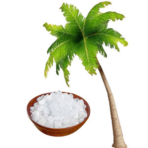 Gelatina de Coco Versátil con Azúcar (1 kg) para Bebidas Halal de Mini Frutas y Nata de Coco, Lista para Consumir - Product Image 2