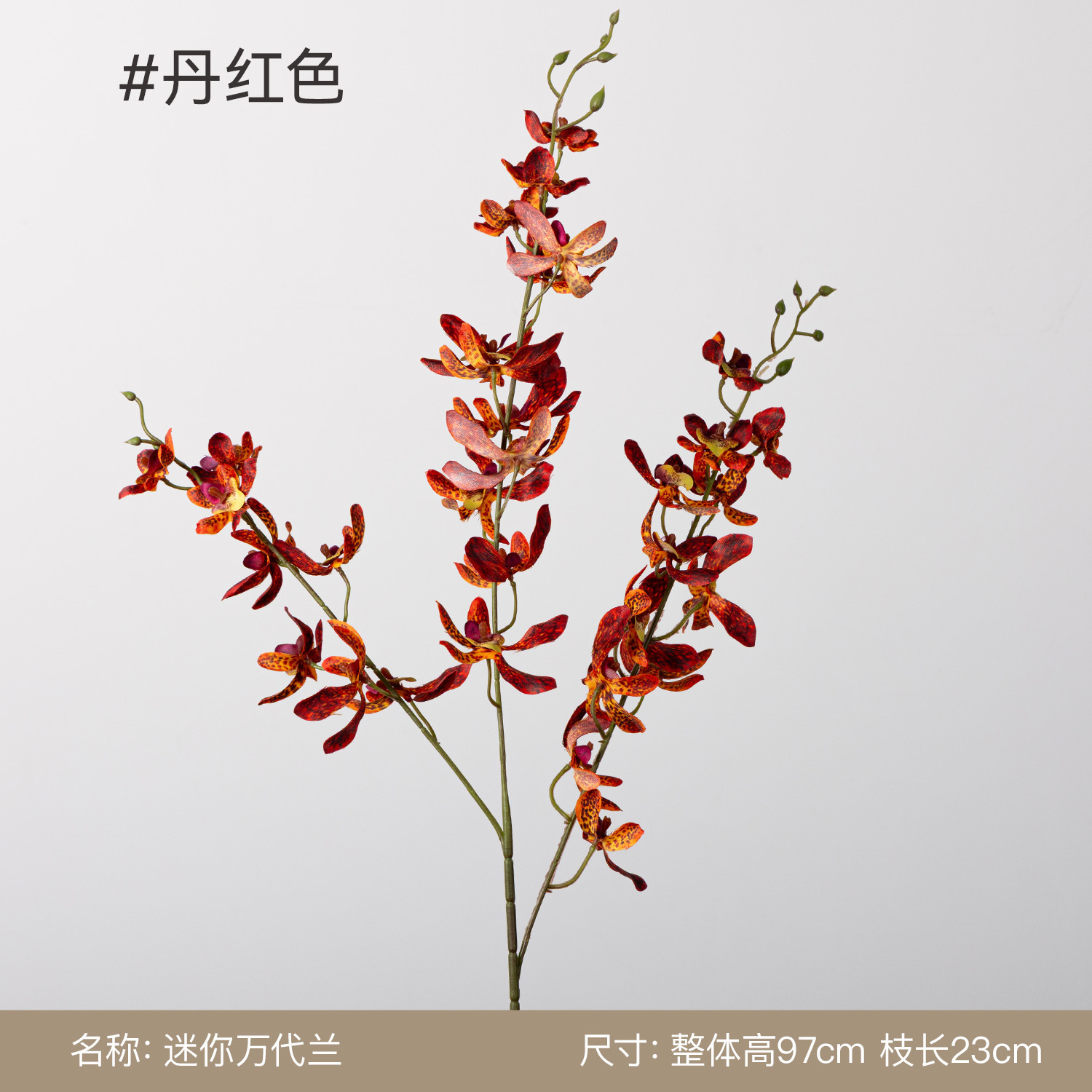 3-branch mini vanda-dendrobium red