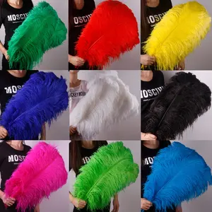 Wholesale 60-65cm Dyed Ostrich Feathers Large Plumes In Pink For DIY Stage Performance Wedding Party Decorations