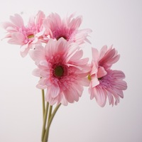 Vente en gros de fleurs artificielles en soie, bouquet de marguerites gerbera à 4 branches, marque MTY, aspect naturel, effet hydratant pour les mains