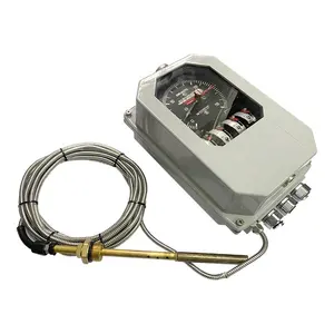 Indicateur de température d'enroulement BWR personnalisable Support OEM disponible - Product Image 1