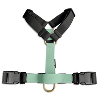 2026 Premium Beschichtetes Macaron Hellgrünes Wasserdichtes H-Strap Hundehalsband Verstellbares Hundehalsband-Geschirr-Leinen-Set