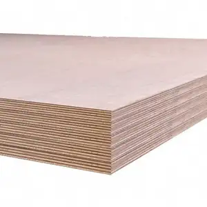 Panneau UV de bouleau Tongli Planche de bois naturel Chêne blanc Feuille de placage de mélamine Conception Contreplaqué MDF
