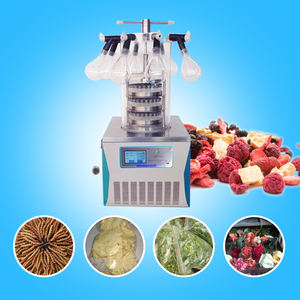 Lyophilisateur avec chambre en acier inoxydable de haute qualité pour la durabilité - Product Image 2