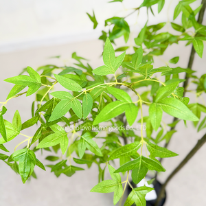 Sàn Tự Nhiên Sắp Xếp Máy Tính Để Bàn Sân Sau Và Sân Trước Thực Sự Tìm Kiếm Chất Lượng Cao Nhất Hot Bán Nhân Tạo Nhà Máy Cho Trang Trí Nội Thất - Product Image 3