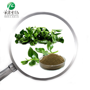 <span class=keywords><strong>Andrographis</strong></span> paniculata chiết xuất bột andrographolide 10% 30% thảo mộc <span class=keywords><strong>andrographis</strong></span> paniculata chiết xuất andrographolide - Product Image 3