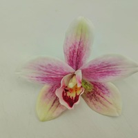 Tête d'orchidée artificielle de haute qualité, toucher réel, 3D, orchidées décoratives pour mariage, tête de fleur d'orchidée artificielle pour mur de fleurs