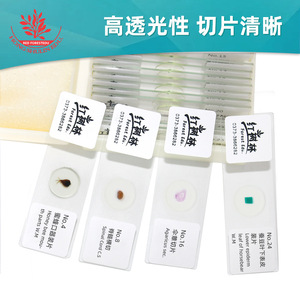 <b>Microscope</b> slide biological specimen experiments: Natural science enlightenment - 25 kinds of animal, plant and insect - Product Image 3
