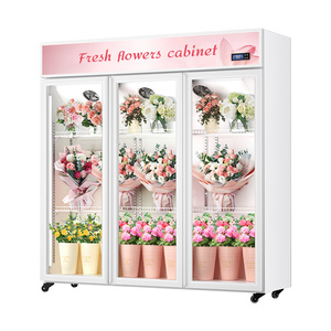 Frigoriferi per Fiori Senza Ghiaccio, Vetrina Refrigerata ad Aria per Fiori, Frigorifero Ideale per Fioristi per Mantenere i Fiori Freschi - Product Image 6