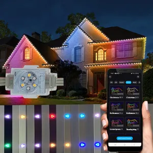 Rgbw 48V IP68 Pixel Light Led Changing Exterior House Permanent Outdoor 48v Rgb Led Point Light