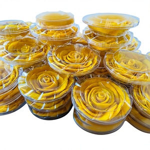 Tranches de mangue séchées douces et acidulées de qualité supérieure, en vrac - Product Image 1