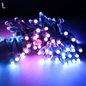 Guirlande lumineuse à pixels RVB programmable couleur Module LED DC5V ws2811 12mm étanche Smart Pixel Christmas Lights