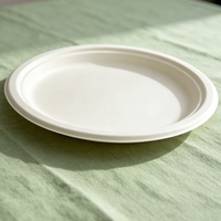 Assiettes rondes en canne à sucre de 10,2 pouces, zéro déchet, compostables, sans bois, fabriquées à partir de bagasse, parfaites pour les consommateurs soucieux de l'environnement