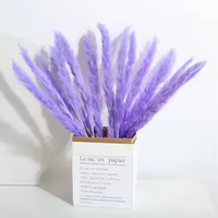 Herbe de la Pampa Séchée Naturelle Style Bohème pour Décoration de Mariage, Maison, Saint-Valentin, Noël – Écologique et Longue Durée