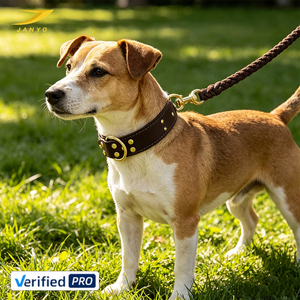 Collier pour chien en <span class=keywords><strong>cuir</strong></span> clouté de luxe JANYO, personnalisé, avec laisse tressée, ensemble réglable pour la promenade des chiens - Product Image 1