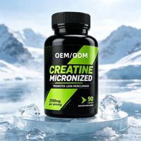 Poudre de créatine monohydrate micronisée OEM, capsules de créatine monohydrate micronisée OEM Nutrition
