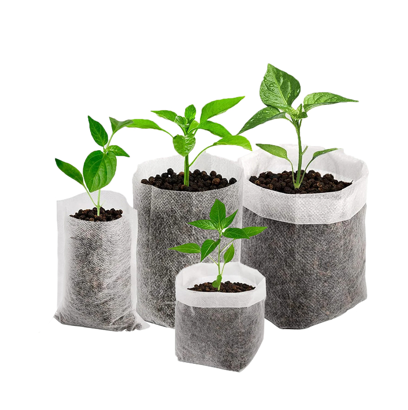 Biodegradable 28 30 cm White Grow