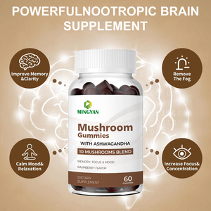 Mélange de champignons OEM/ODM pour la vitalité quotidienne – Complément de santé en gommes aux champignons pour le soutien immunitaire naturel et la santé cognitive - Product Image 3