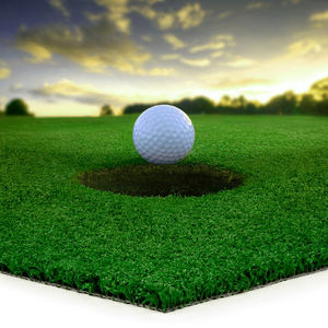 15mm Gazon Artificiel Cricket Gazon Artificiel Golf Gazon Synthétique <span class=keywords><strong>Tapis</strong></span> <span class=keywords><strong>Tapis</strong></span> Artificiel Pelouse Plancher Gazon pour Cricket Pitch <span class=keywords><strong>Go</strong></span> - Product Image 1