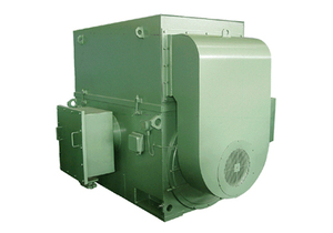 มอเตอร์ไฟฟ้ากระแสสลับแรงดันสูง ซีรีส์ Y2 (3KV 6KV 10KV) กำลังไฟ 100 กิโลวัตต์ 250 กิโลวัตต์ 450 กิโลวัตต์ 500 กิโลวัตต์ - Product Image 3