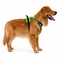 Harnais LED rechargeable pour chien, type C USB, gilet lumineux pour animal de compagnie, harnais réfléchissant anti-traction pour la sécurité des promenades nocturnes, tailles S à XL