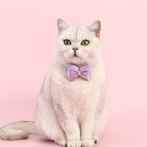 Pet <strong>Collar</strong> <strong>Dog</strong> Breakaway Necklace With Big Bows <strong>Charm</strong> Cute Princess <strong>Collar</strong> Adjustable Cat Chain Luxurious Pendant Ornaments - Product Image 2