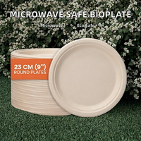 Assiettes jetables en bagasse 100 % biodégradables, résistantes, écologiques, blanches naturelles, 9 pouces, compatibles micro-ondes, pour les fêtes