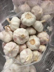 Proveedor de Ajo Blanco Puro Fresco de Shandong, Venta al por Mayor con Empaque en Bolsa de Malla, Nueva Cosecha de Primera Calidad - Product Image 3