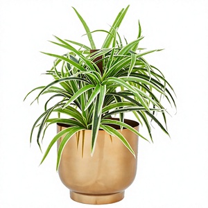 Pots de plantes en métal doré, pots ronds d'intérieur avec trous de drainage, pots de fleurs décoratifs pour la maison, le jardin, le bureau - Product Image 1