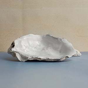 Conchas <span class=keywords><strong>de</strong></span> Ostra Secas Naturales, Conchas Marinas Vacías <span class=keywords><strong>de</strong></span> Ostra <span class=keywords><strong>de</strong></span> China para Exportación - Product Image 3