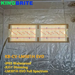 KingBrite 240W סמסונג LM301H EVO + Epistar 660nm UV IR ספקטרום מלא Led לגדול אור 2022