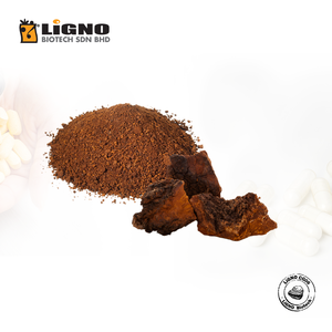Malaysia Trusted Supplier Chaga LiGNO CG06 Functional Extract Active Suitable For Health <b>Coffee</b> Drink Blends - Product Image 1