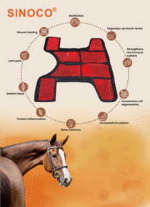 Terapi Cahaya Merah/Near Infrared untuk Kuda (Dapat Disesuaikan) |   660+850nm |   Peningkatan Sirkulasi Darah Pereda Nyeri |   Seluruh Tubuh - Product Image 5