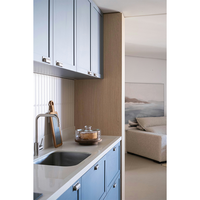 Meubles de cuisine sur mesure de luxe en laque, îlot d'évier, design de meubles de cuisine, armoire de cuisine moderne