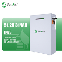 Baterai Lithium Ion Grade A 16Kva Lithium Lipofe4 51.2V 314Ah 16Kwh dengan IP65 Tersedia