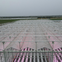 Grande serre agricole intelligente multi-chapelles à structure en acier galvanisé à chaud, ultra-résistante, pour culture hors-sol