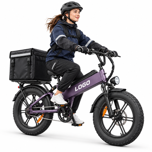 Vélo de livraison électrique D40 en gros, 750W 48V40AH BMS, frein 203mm, fabrication OEM personnalisée - Product Image 1
