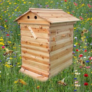 Maßgefertigte Automatische Holz-Bienenstöcke, Kiefernholz-Bienenstöcke für den Bienenzuchtbetrieb, Flow Hive Honigbienen - Product Image 5
