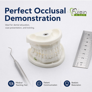 Modelo de Demostración Anatómico de Implante Dental de Tamaño Real, Personalizable, Material de Enseñanza de Ciencias Médicas, Directo de Fábrica, OEM - Product Image 4