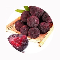 2026 Mei IQF Chinese diepvries verse Bayberry aardbeien, geheel, gesneden en in balletjes, verkrijgbaar in bulkverpakkingen
