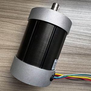 Motor sin escobillas de 36V con imán permanente totalmente encapsulado para electrodomésticos, motor de corriente continua - Product Image 2